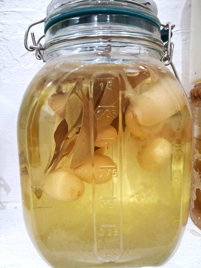 צילום: סיון כהן